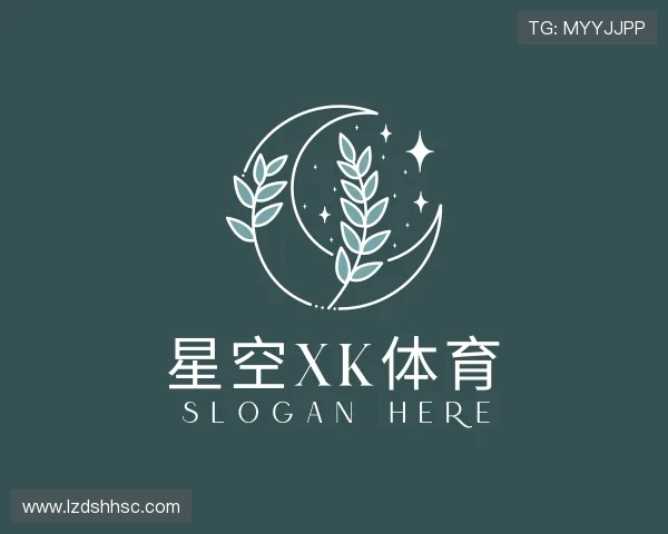 关于XK星空体育