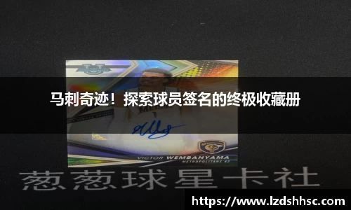 完美体育365平台官网